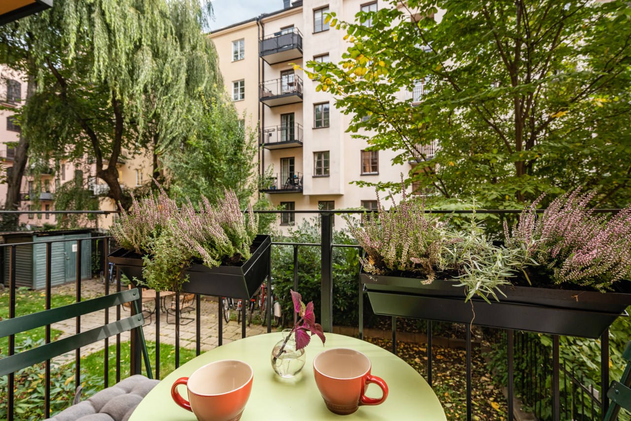 Jungfrugatan 52