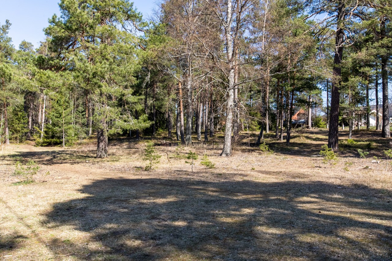 Tömvägen 11