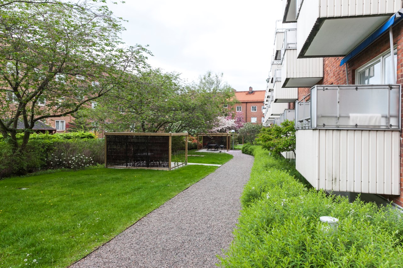 Tranemansgatan 46