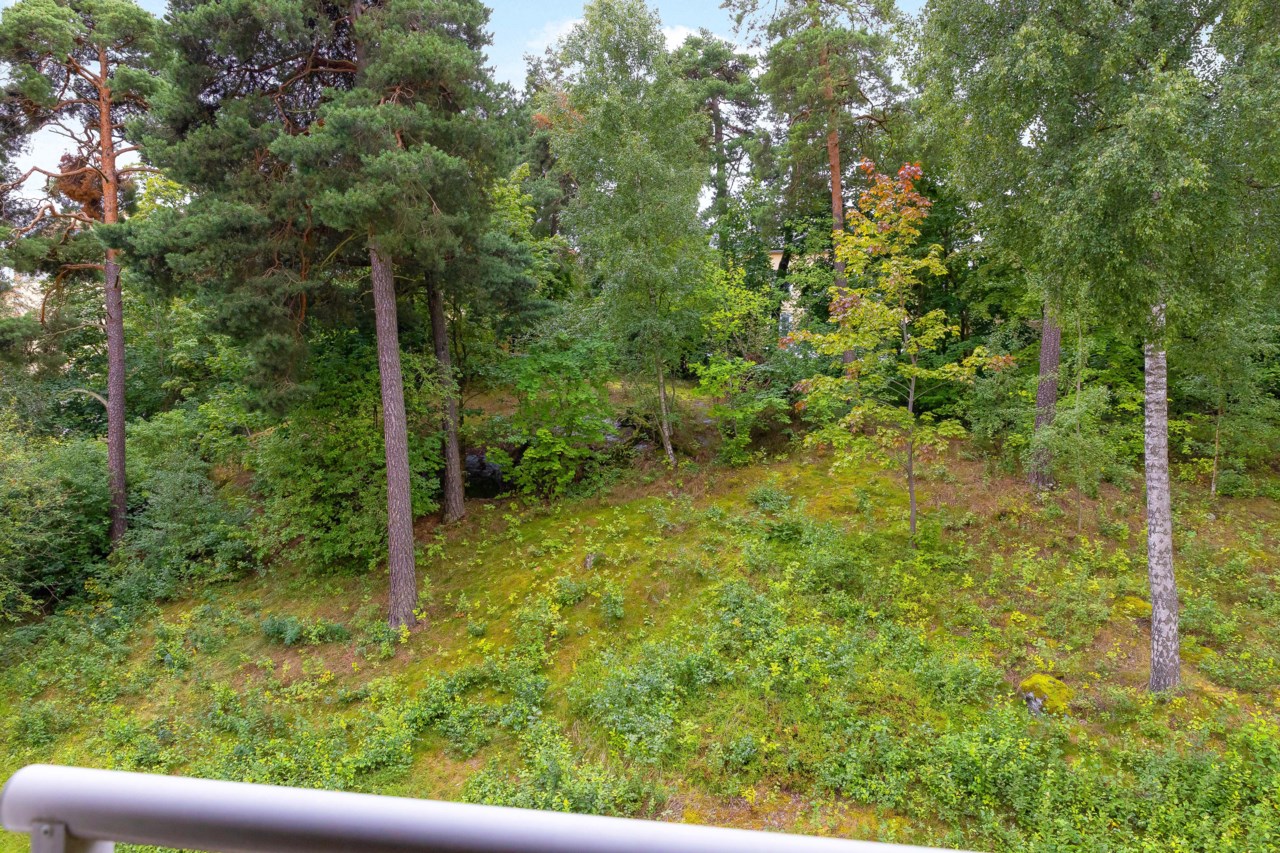 Utsikt från vardagsrummet!