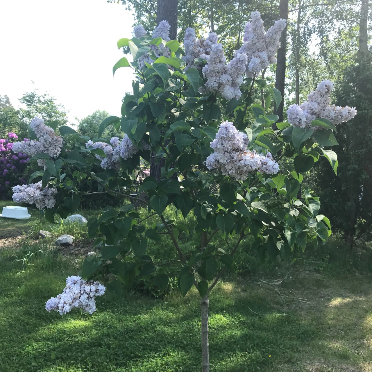 Terrängvägen 23