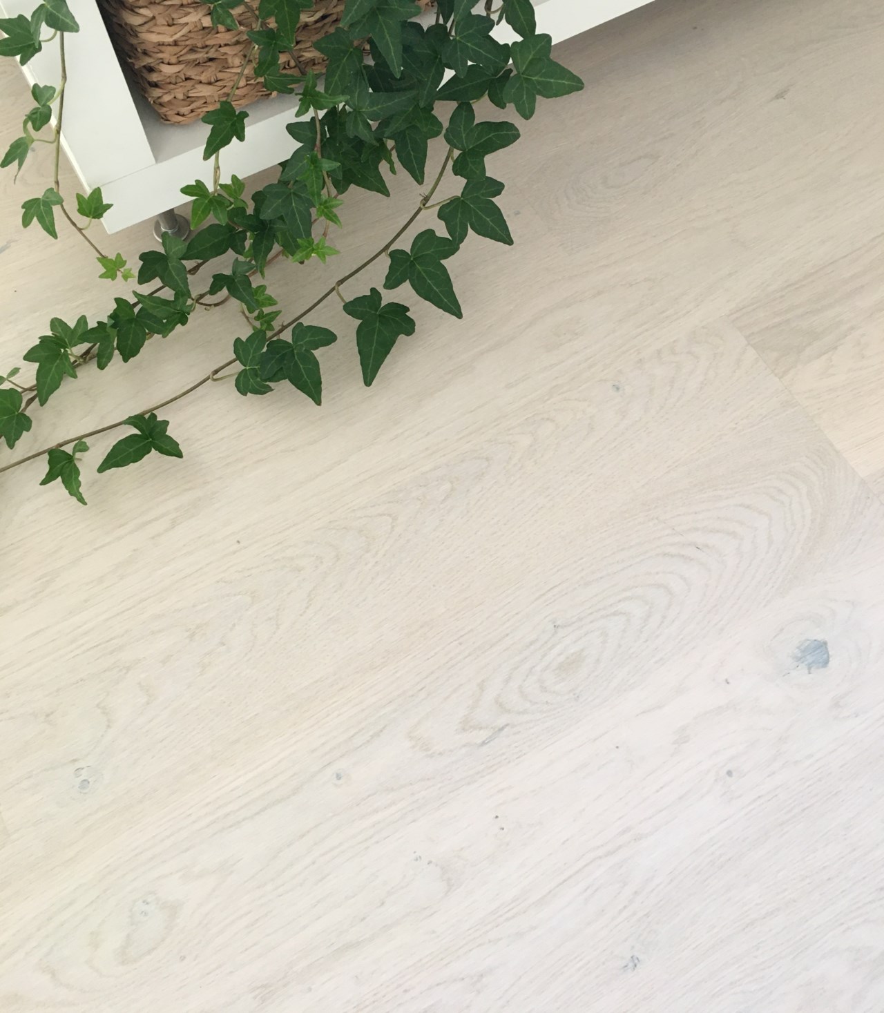 Blotgränd 5C