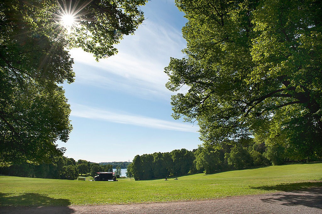 Grönskande Hagaparken