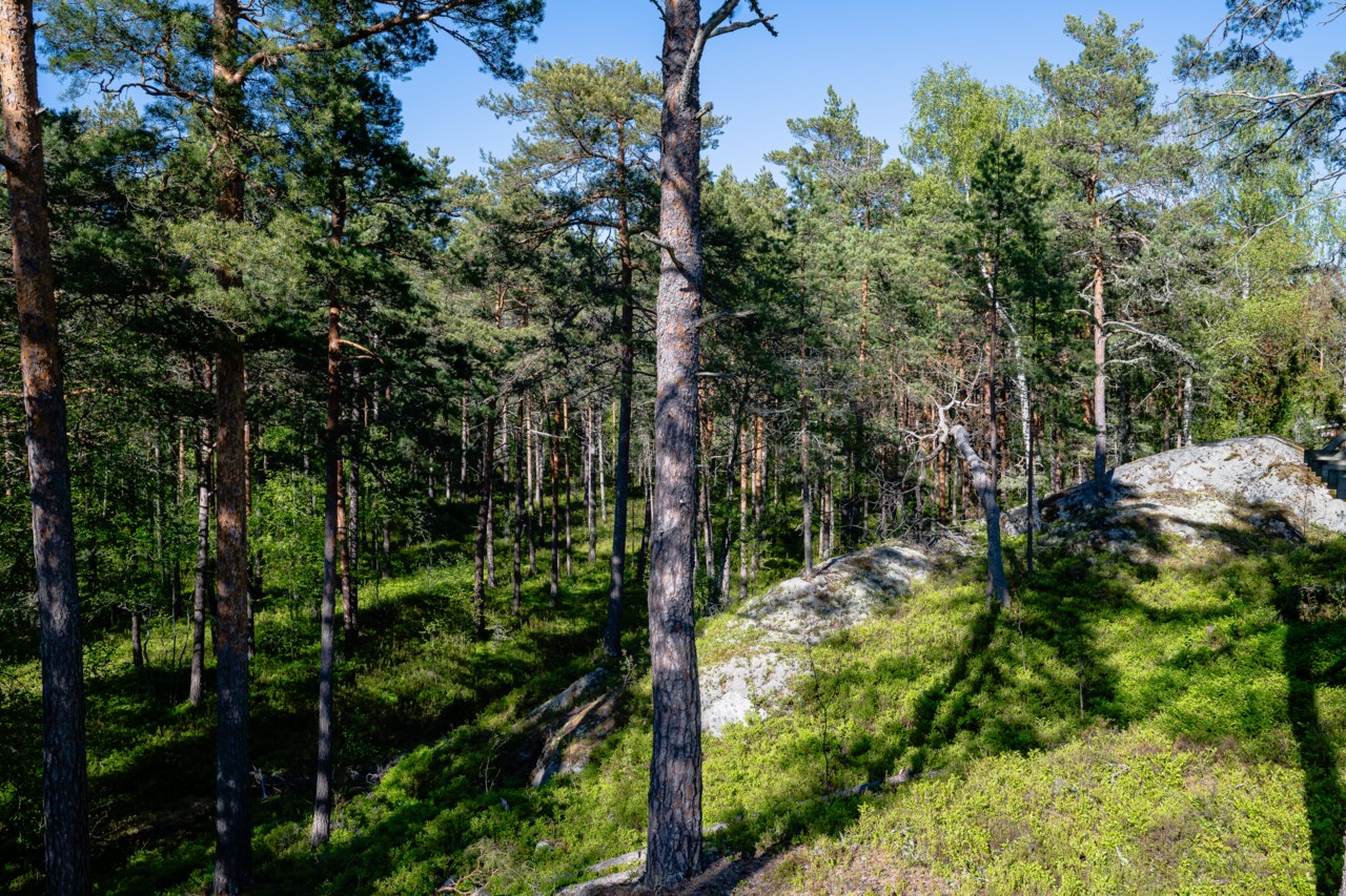Norra Skålviksstigen 25
