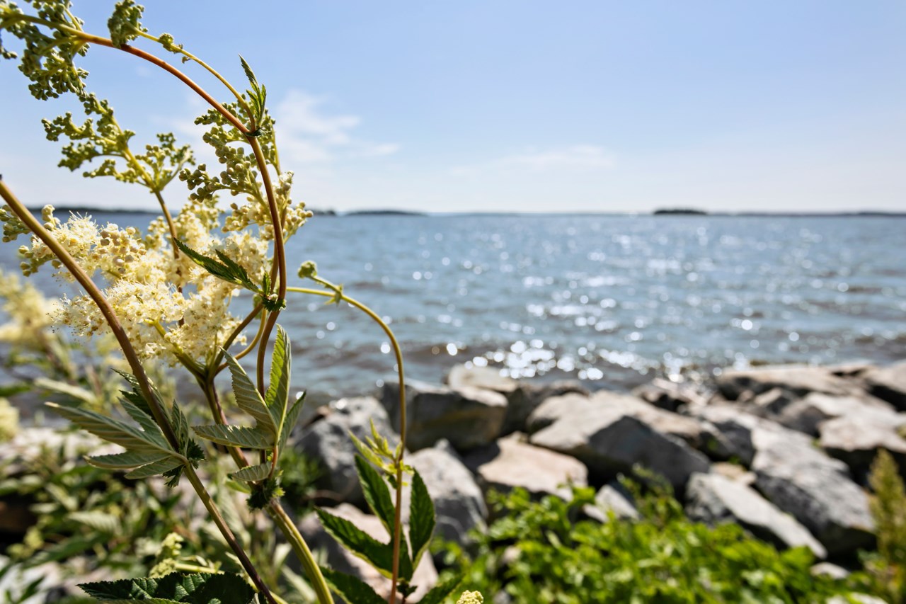 Fyrbåksvägen 12