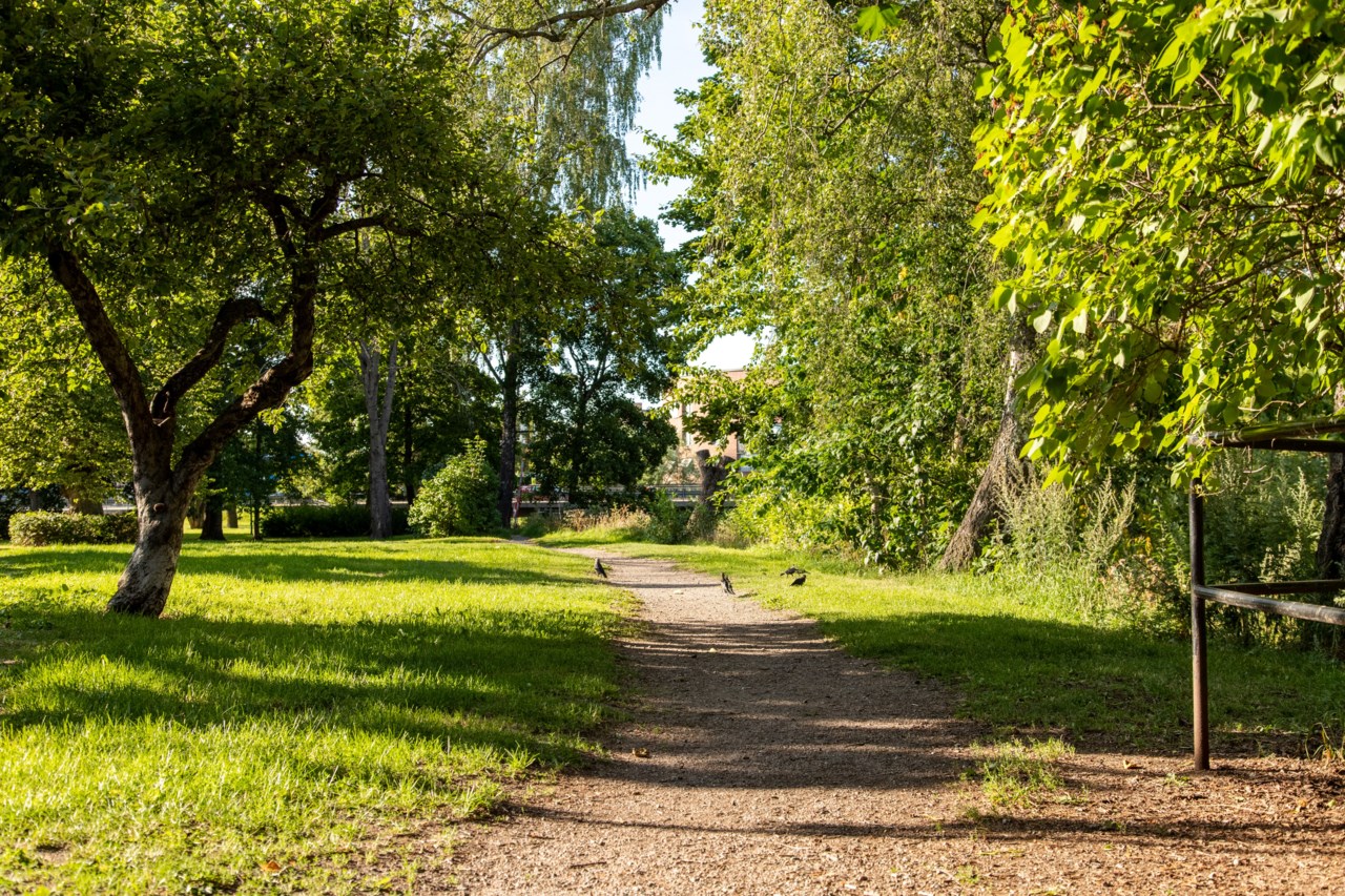 Odensgatan 4B