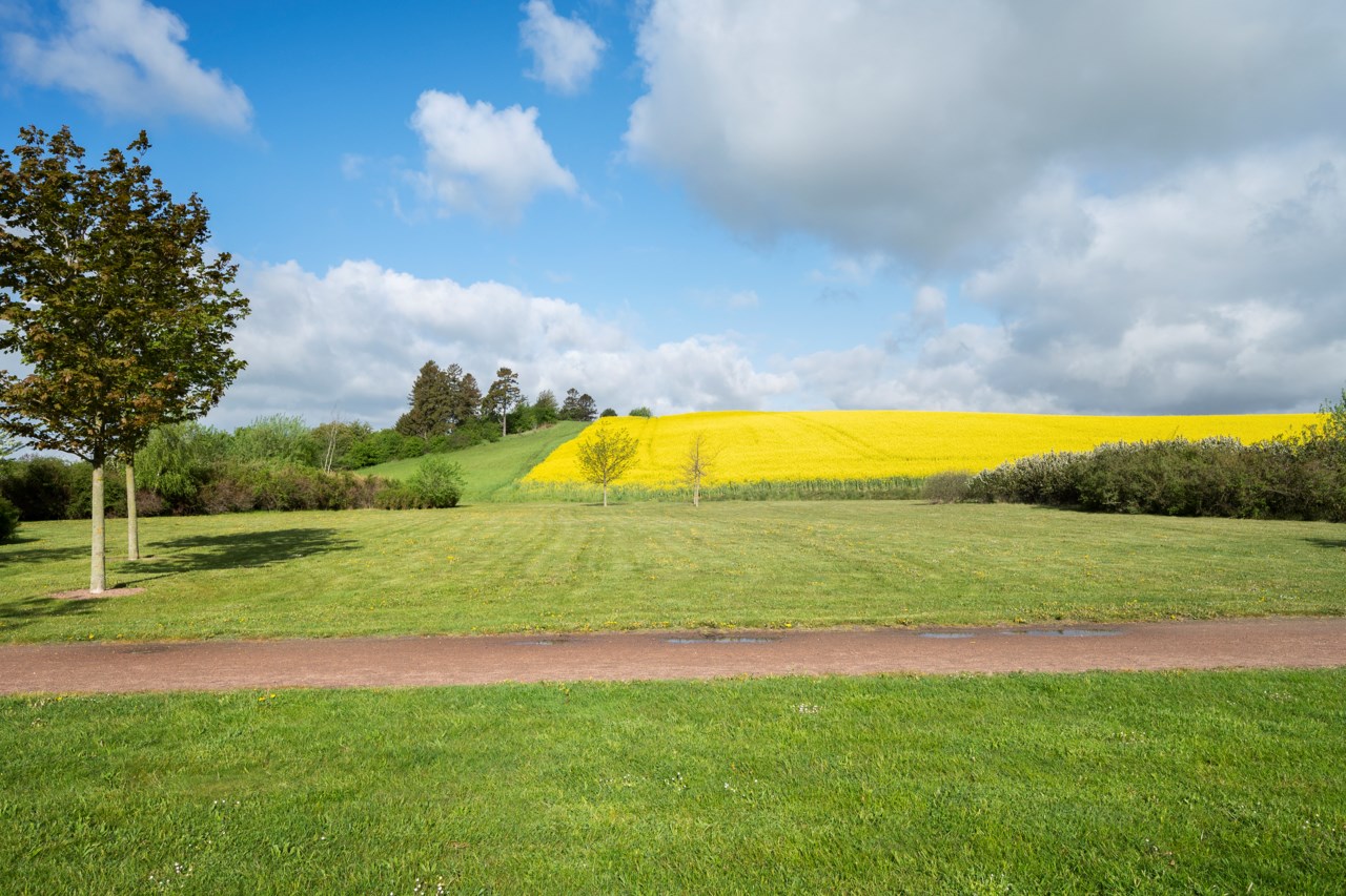 Rosentorpsvagen 52 51