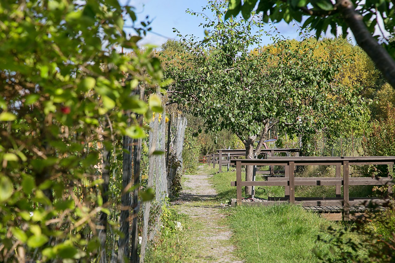Finn Malmgrens väg 27