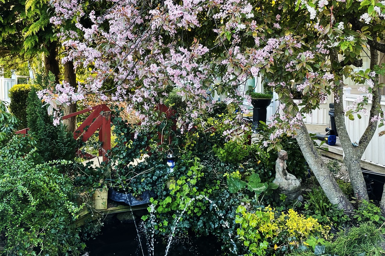 Säljarens egna bilder
