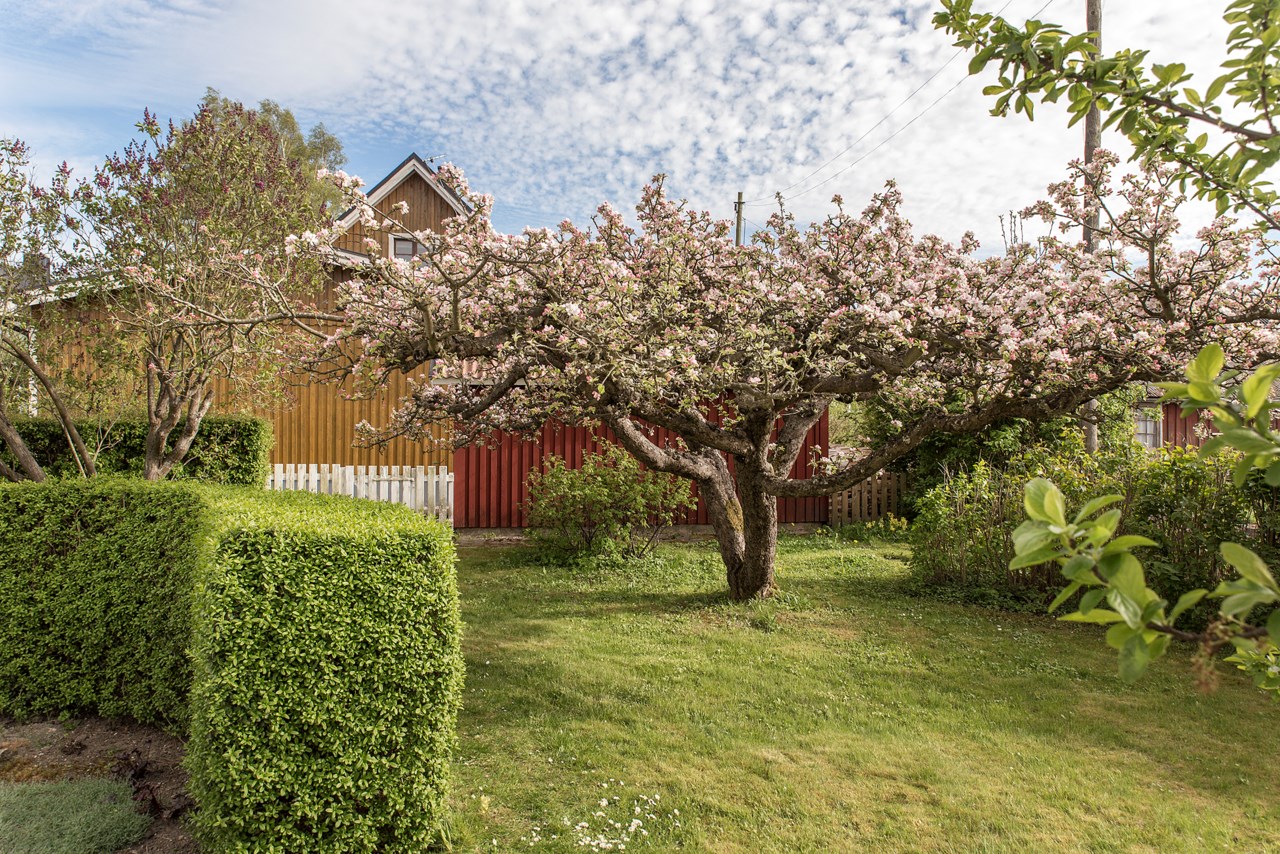 Åsumsvägen 36