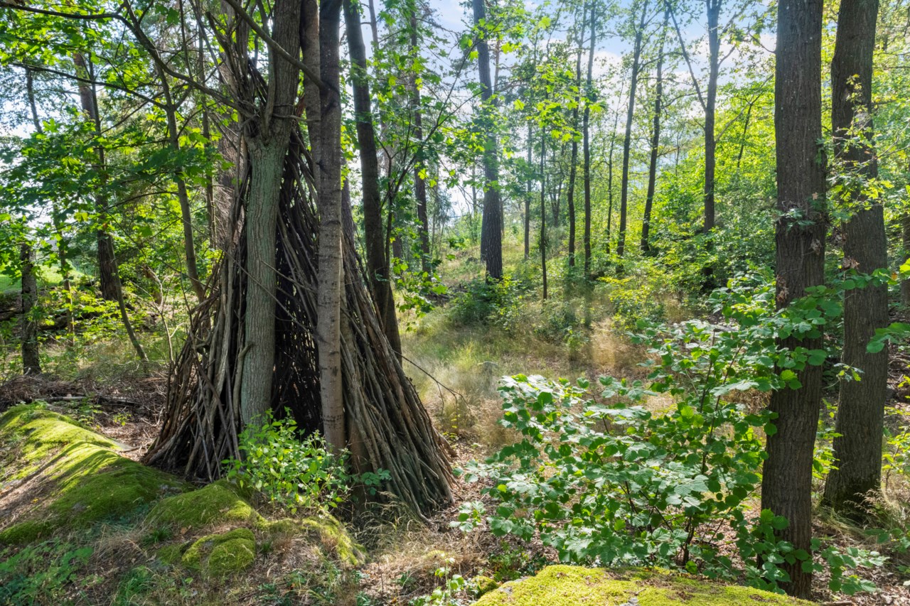 Kappsta naturreservat