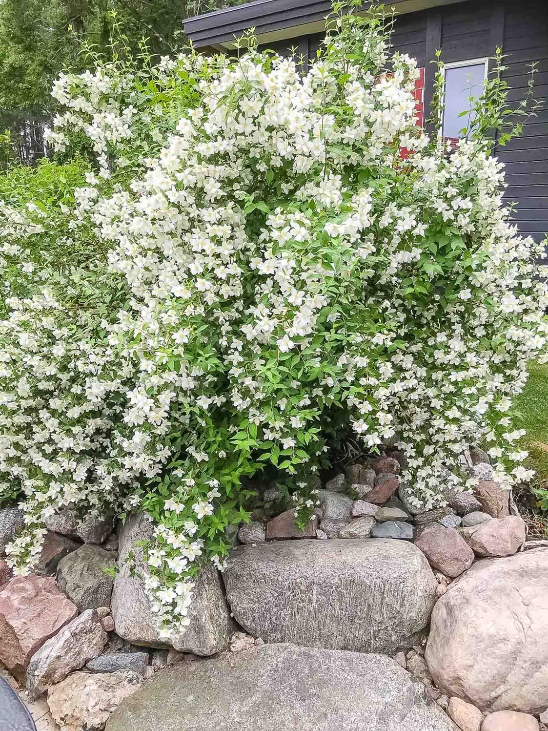 Hjortstigen 16