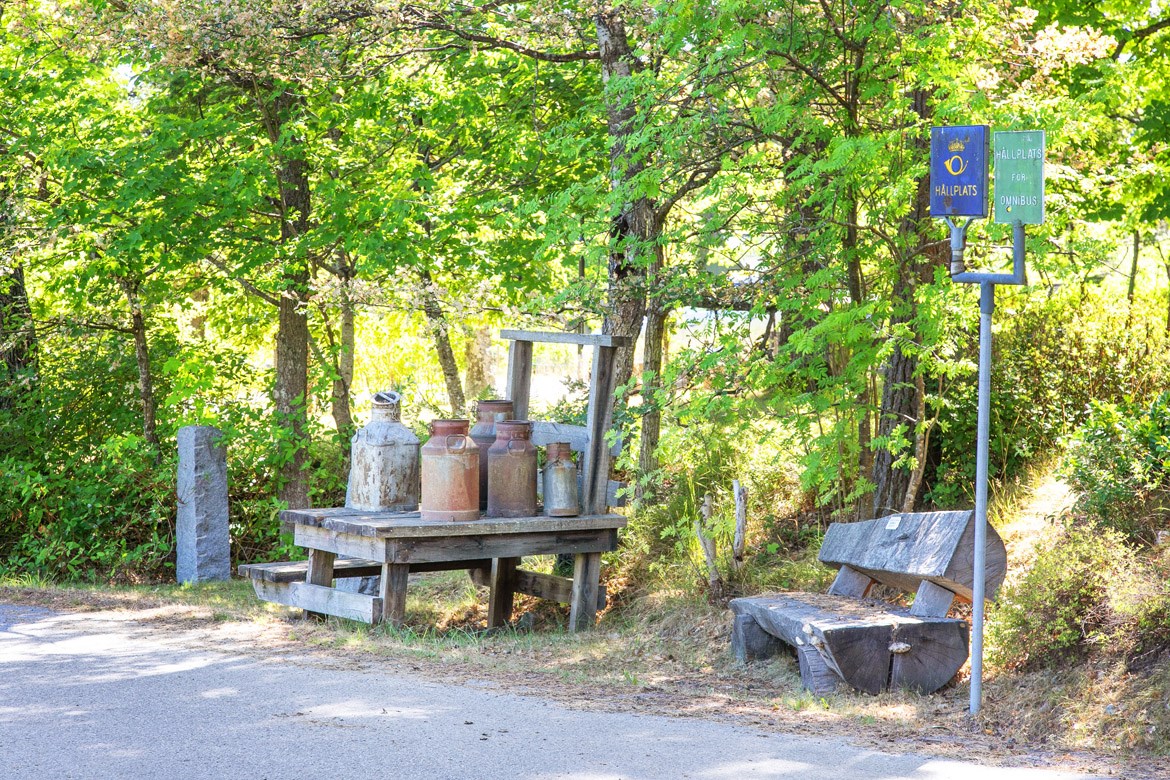 Fjällbrudens väg 17