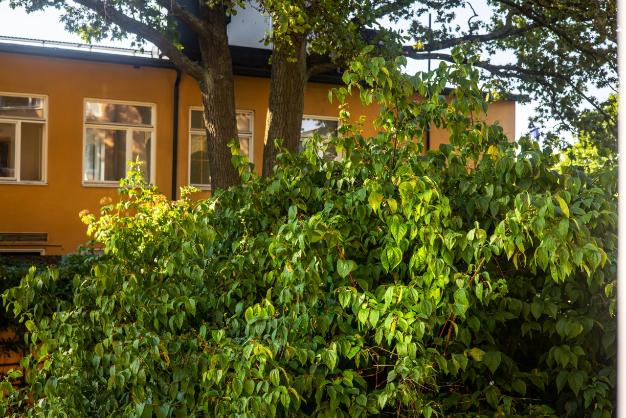 LM Ericssons väg 23