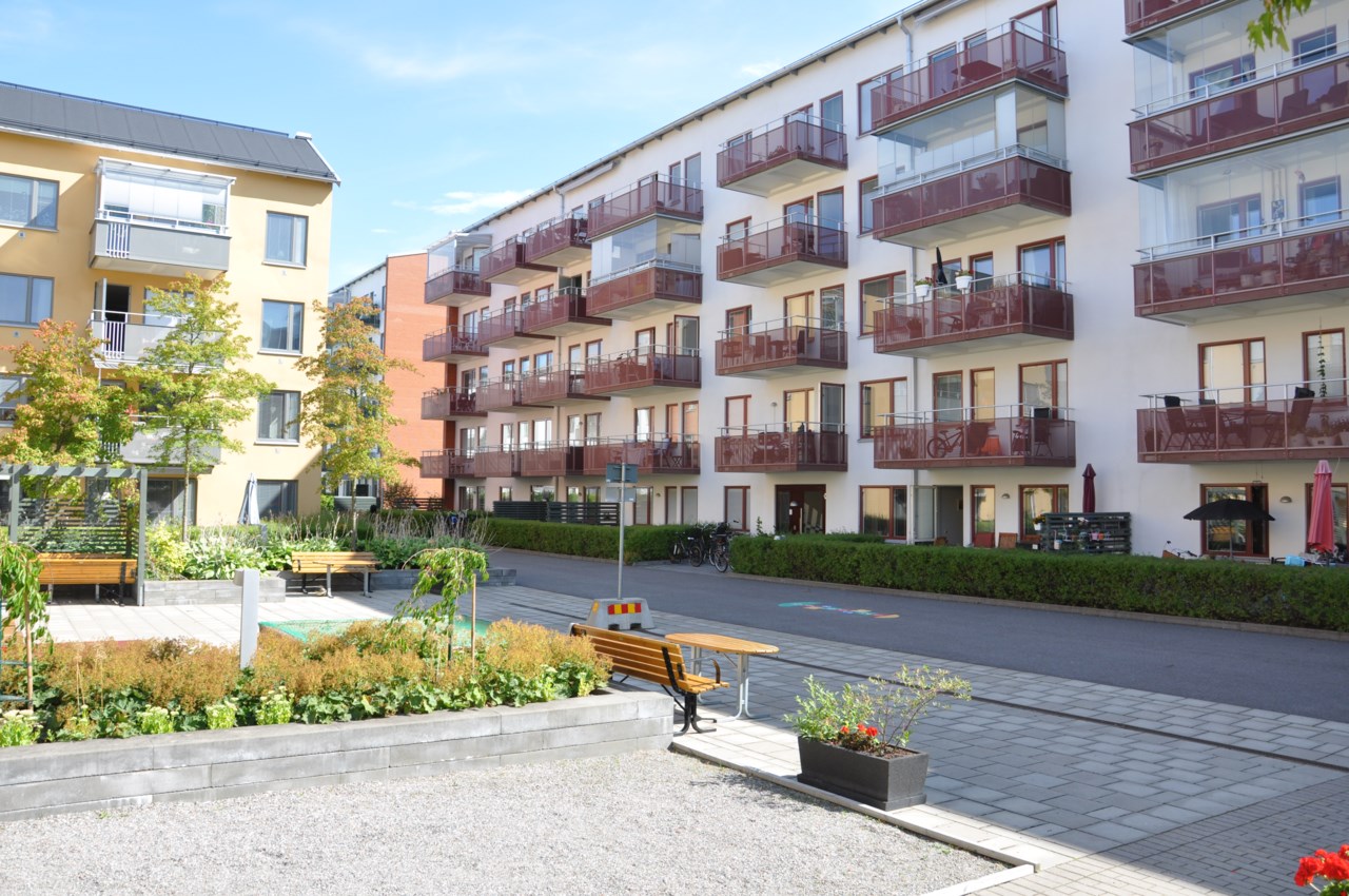Grönskande innergård