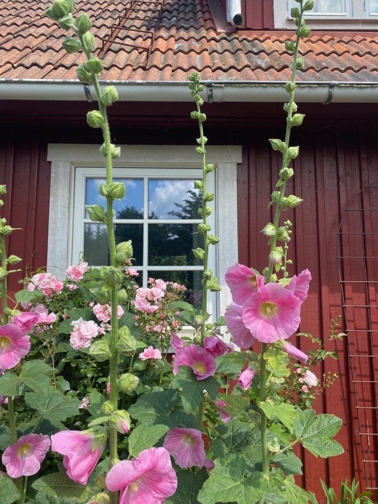 Torsebro byväg 158