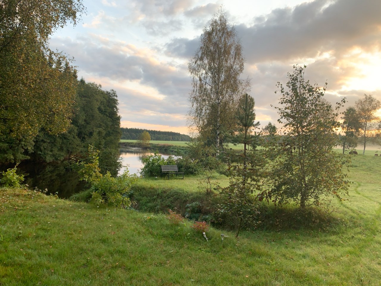 Säljarens egna bilder