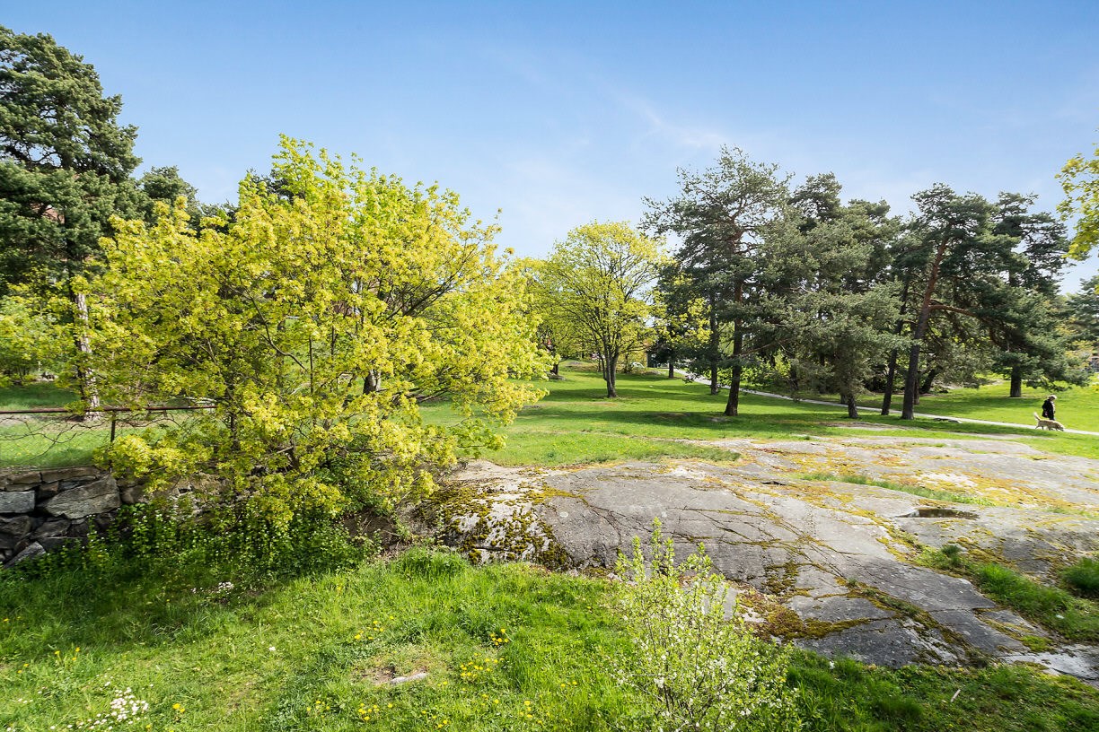 Tornparken