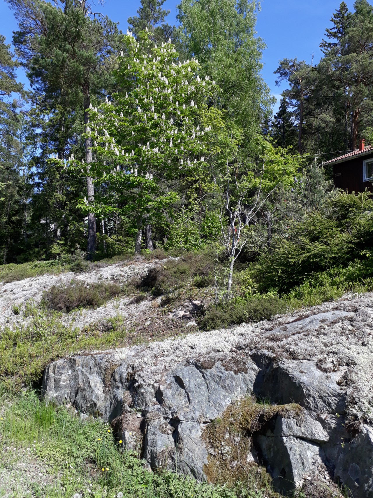 Bergsrundan 2