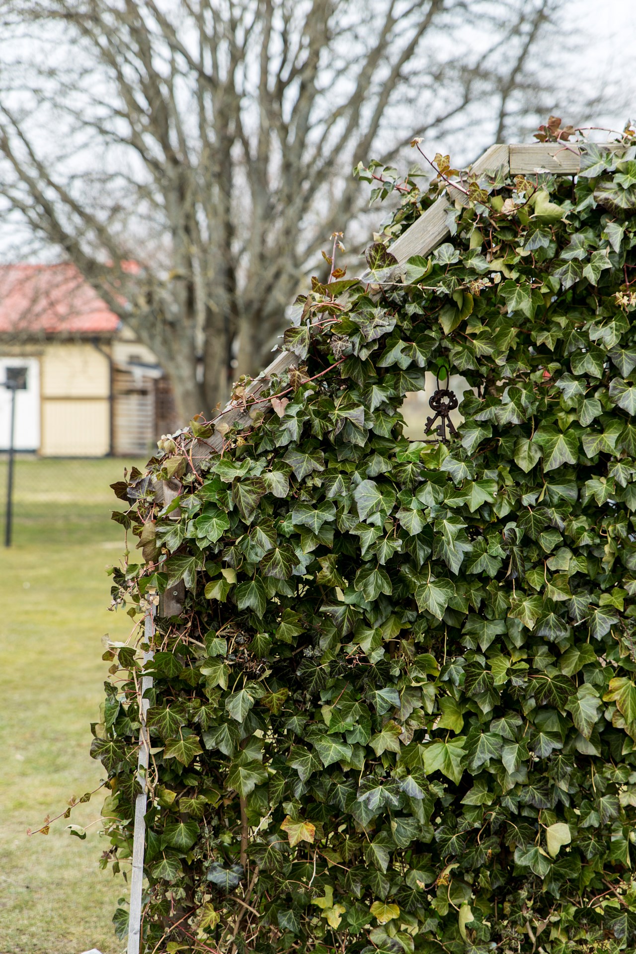 Hjärtebackes väg 24