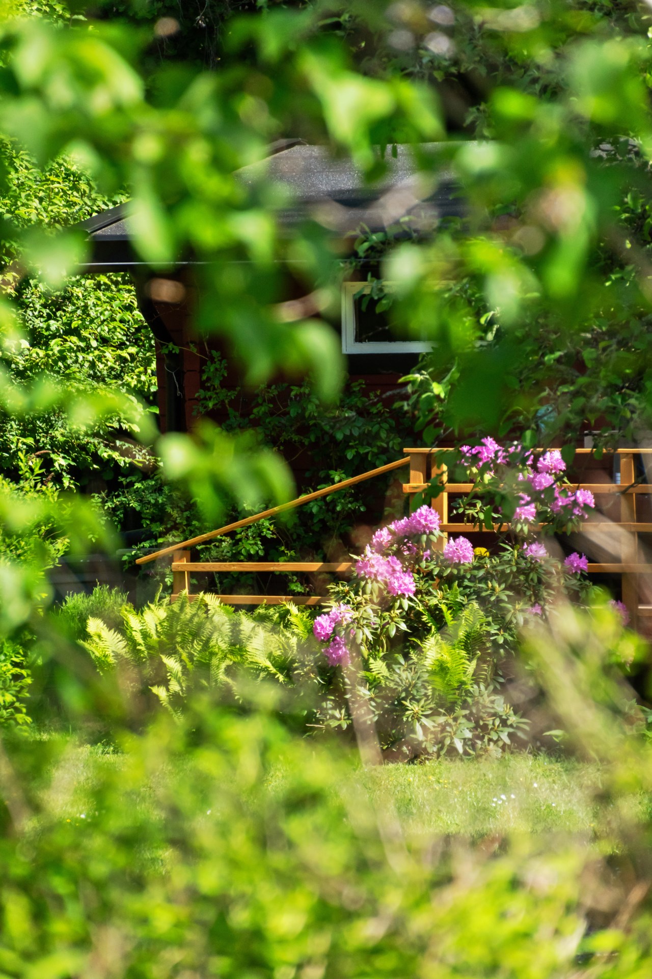 Detalj trädgård
