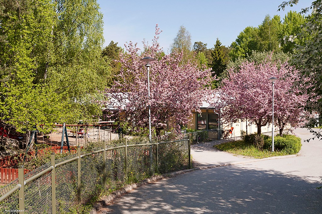 Förskola