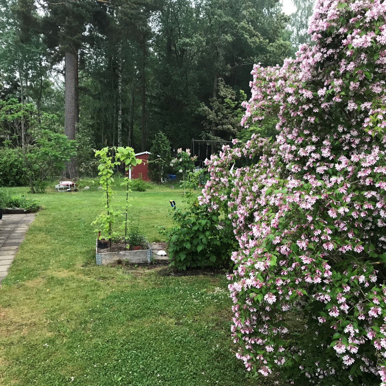 Terrängvägen 23