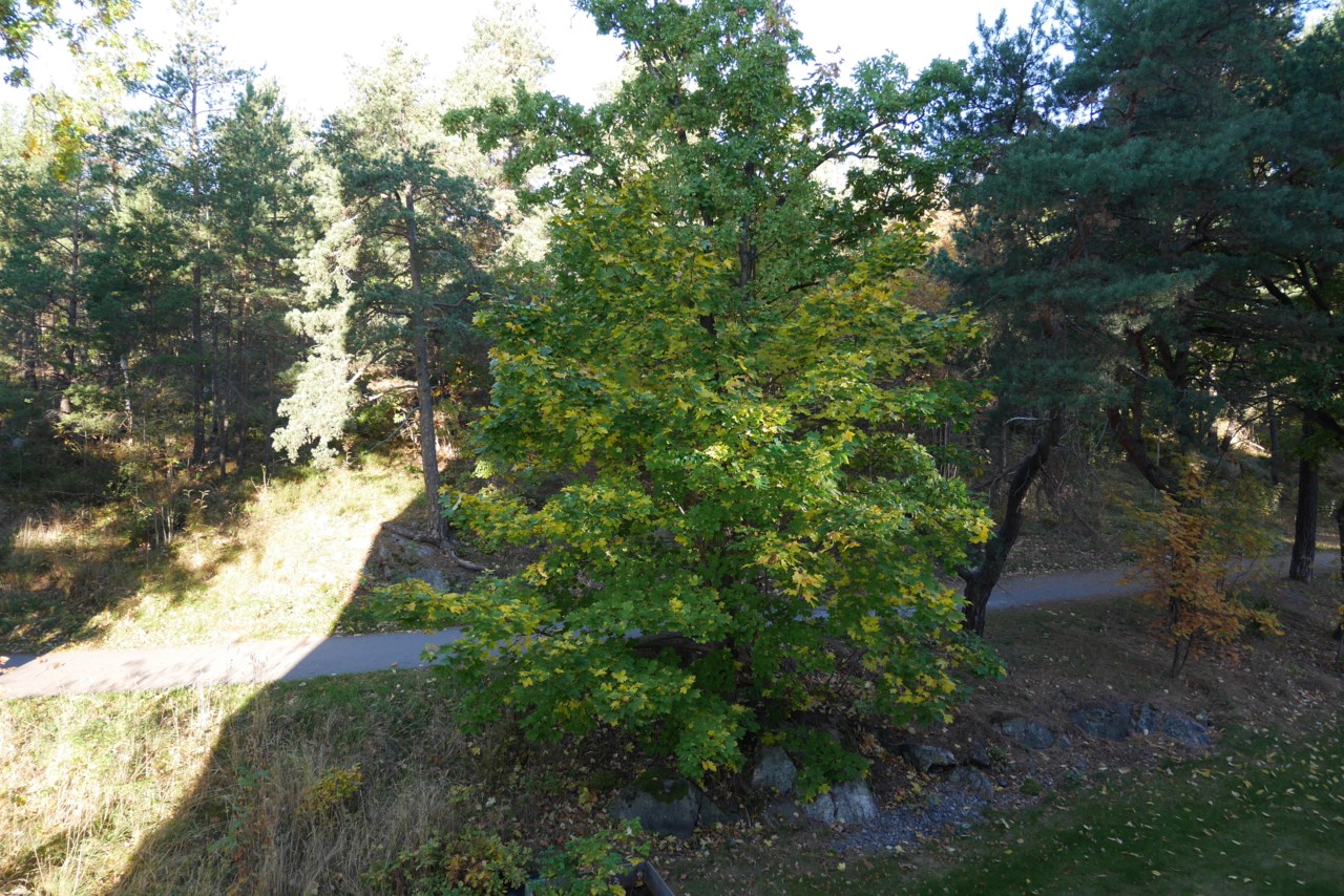 Mobilgatan 5, vån 3