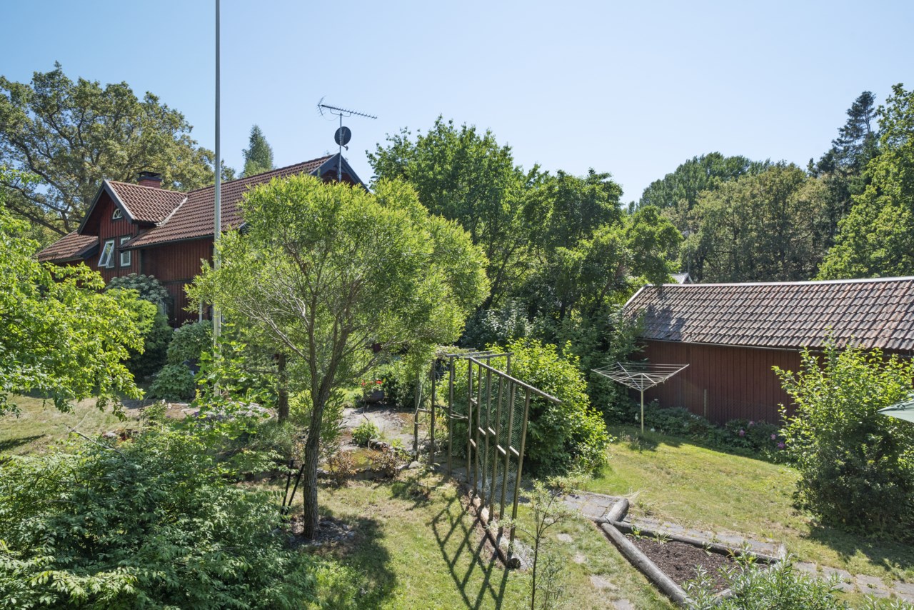 Lummig trädgård