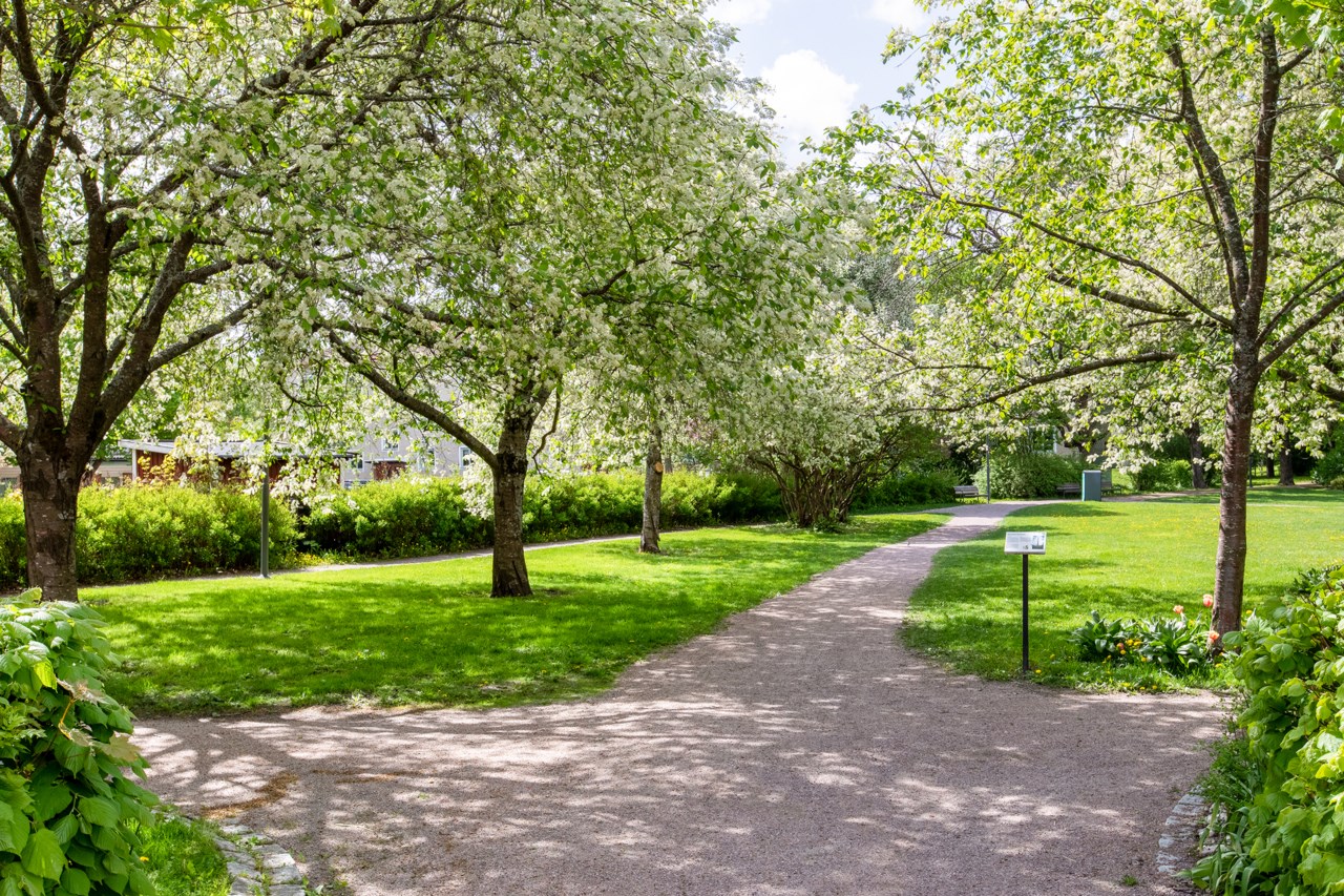 Tegnérgatan 32C