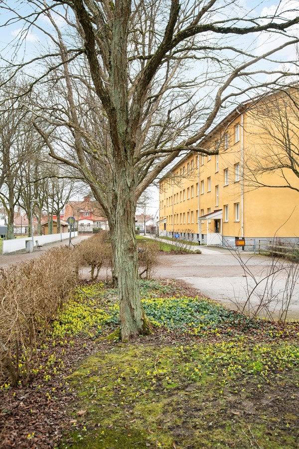 Almvägen 15A