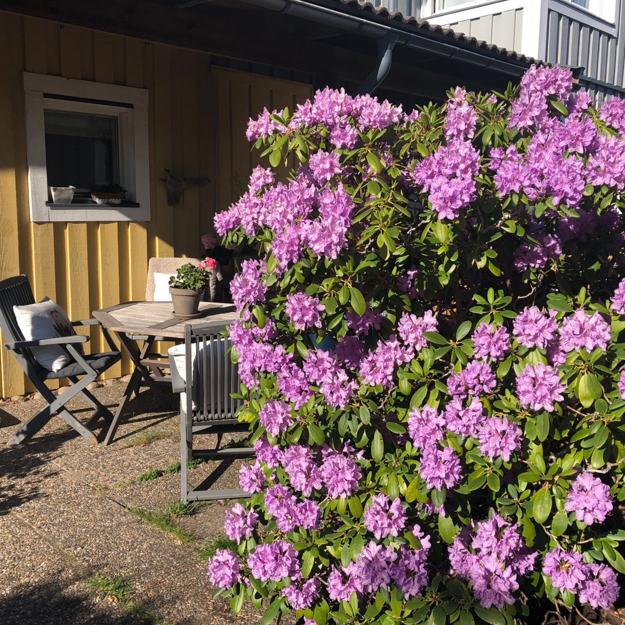 Norrholmsvägen 45