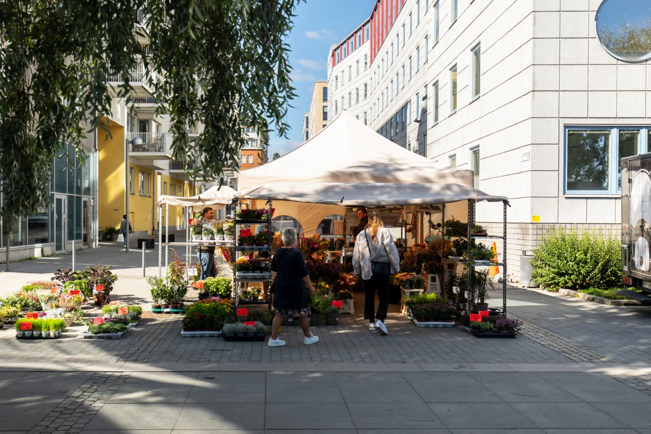 Sjöviksvägen 79