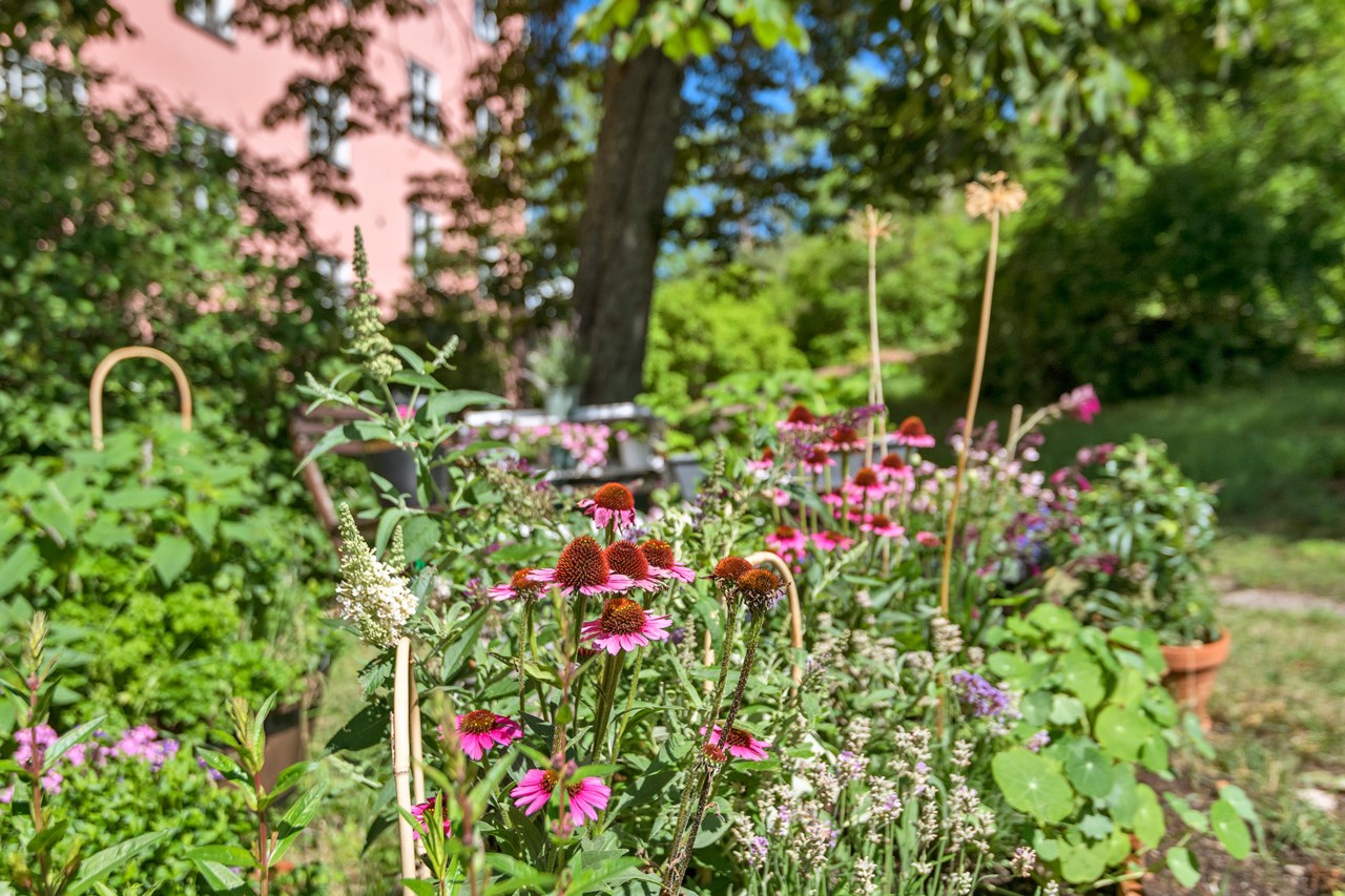 Fredsgatan 14A, 1,5 tr