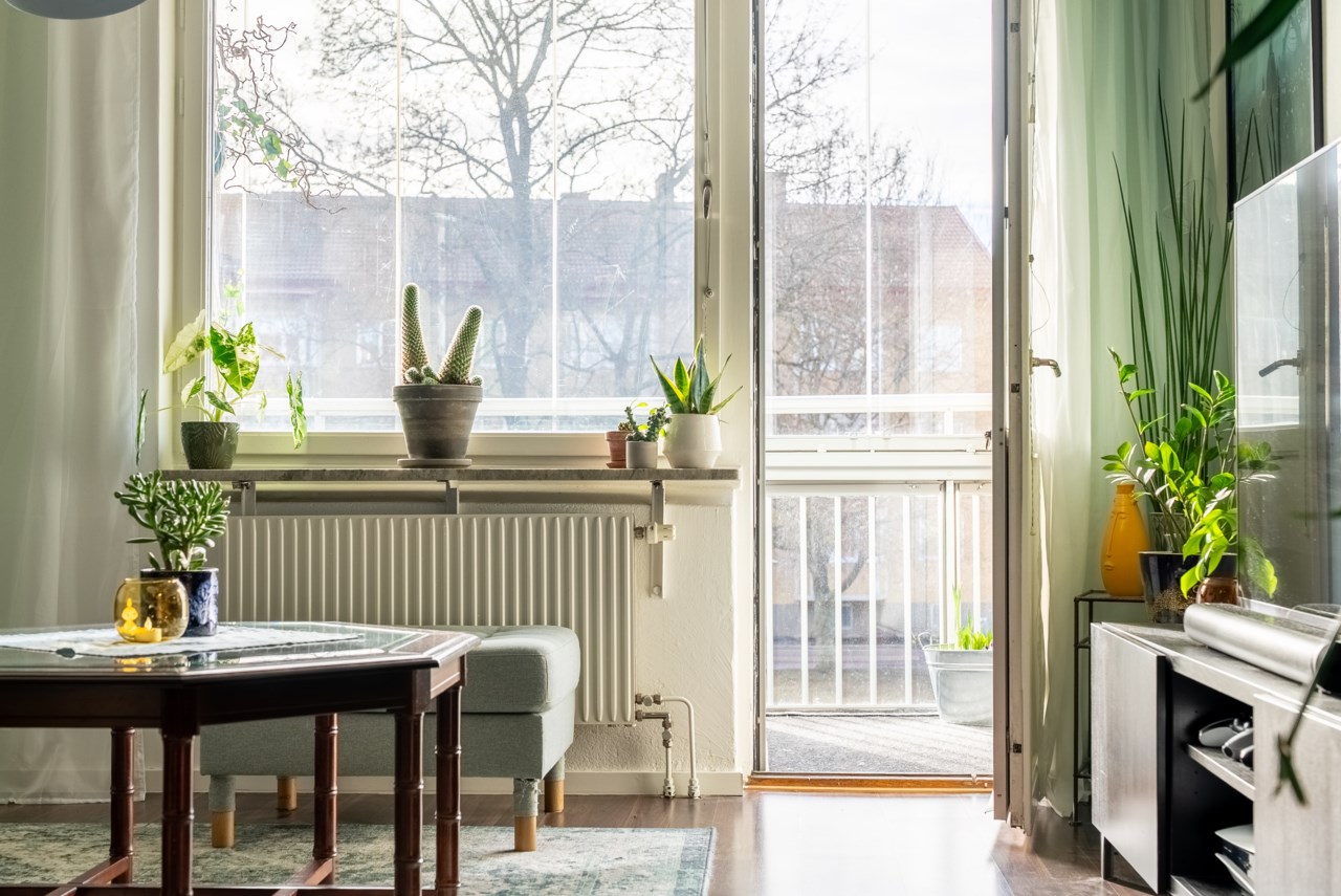 Blomstergatan 19