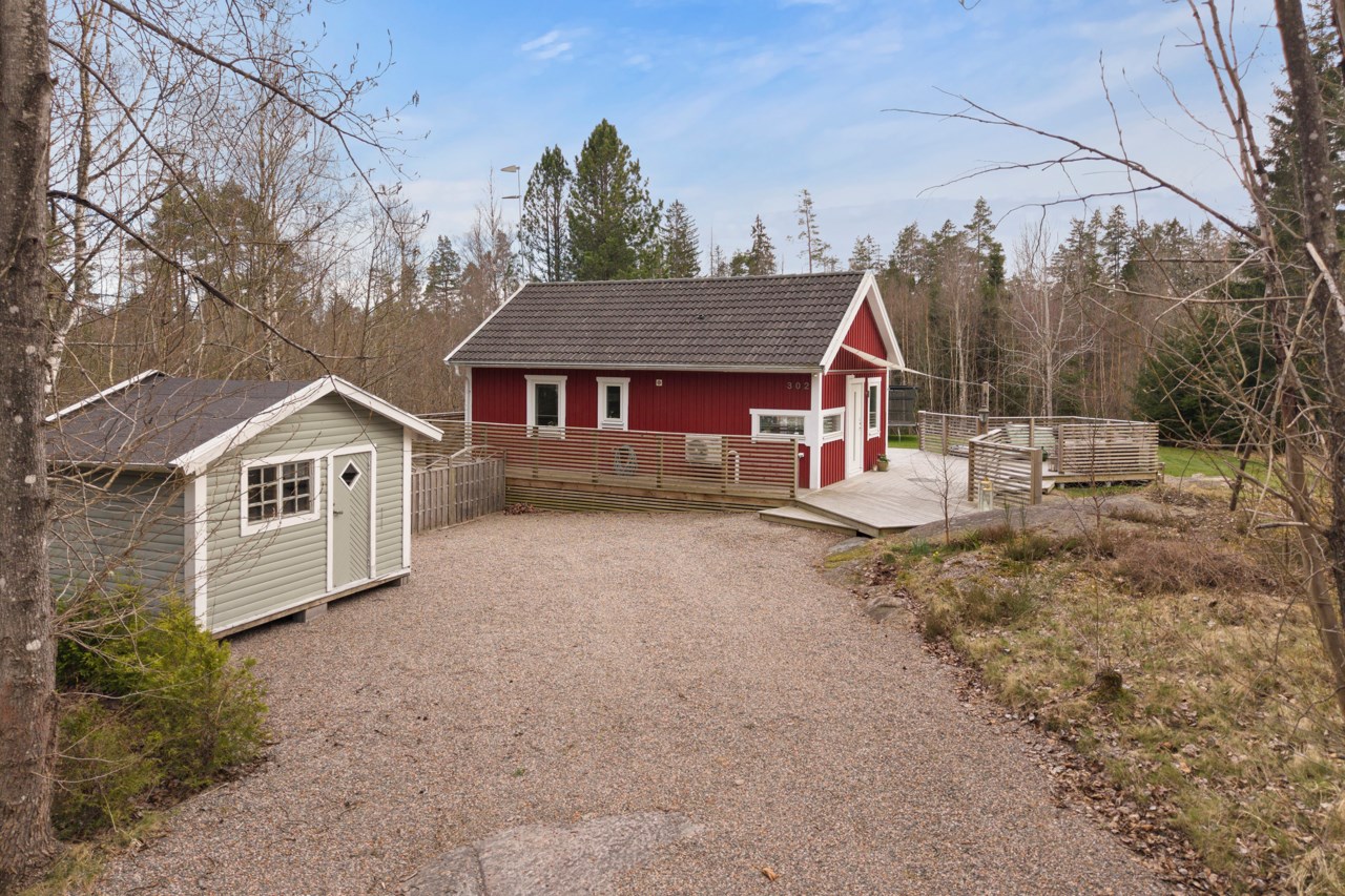 Dereviken 302