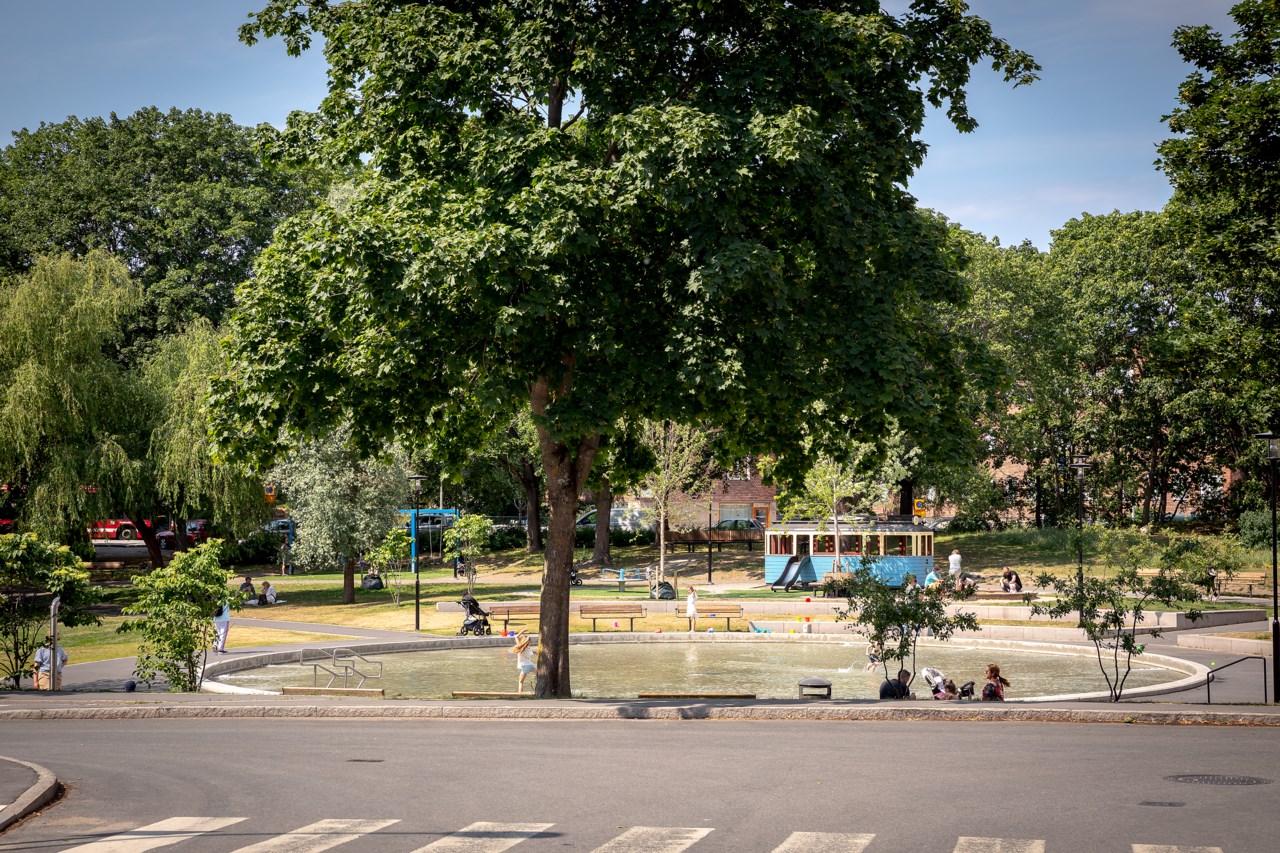 Svandammsparken