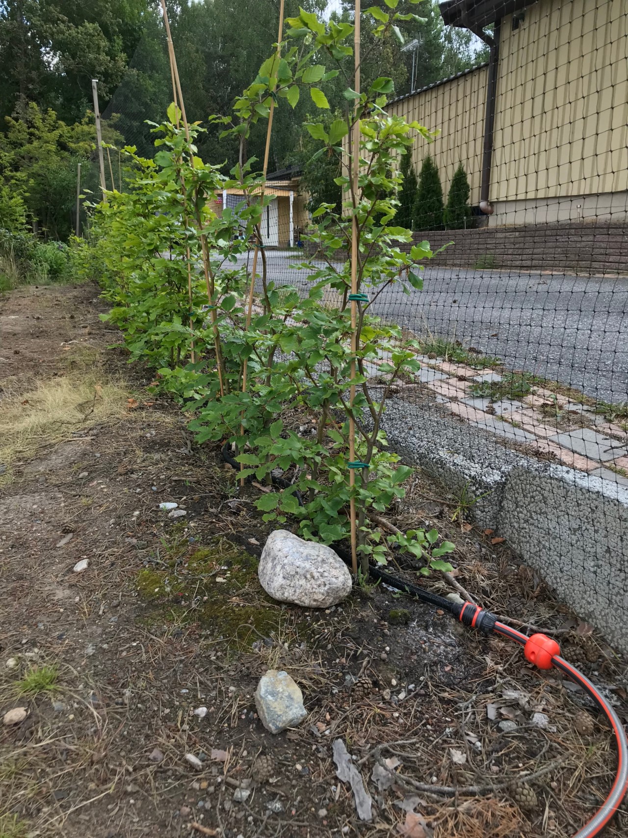Terrängvägen 23