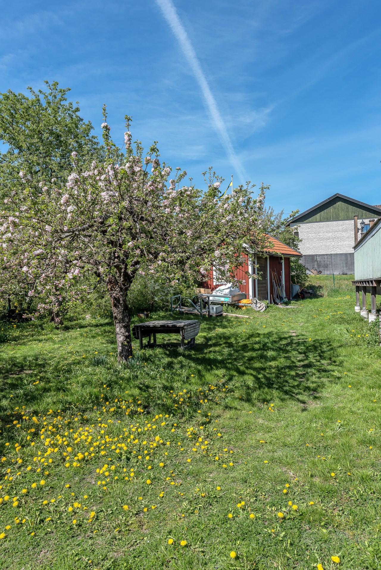 Plats för fika under blommande äppelträd