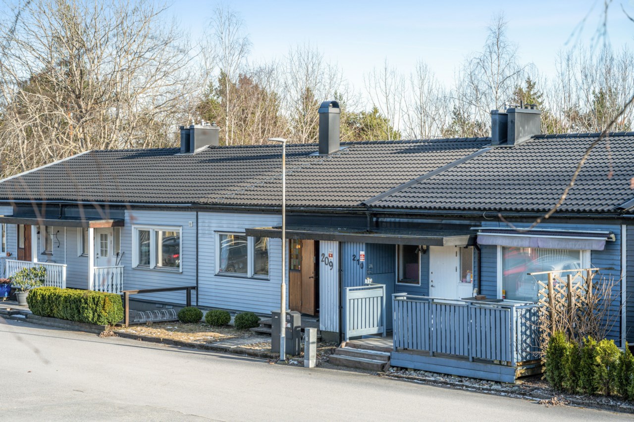 Lodjurets gata 209