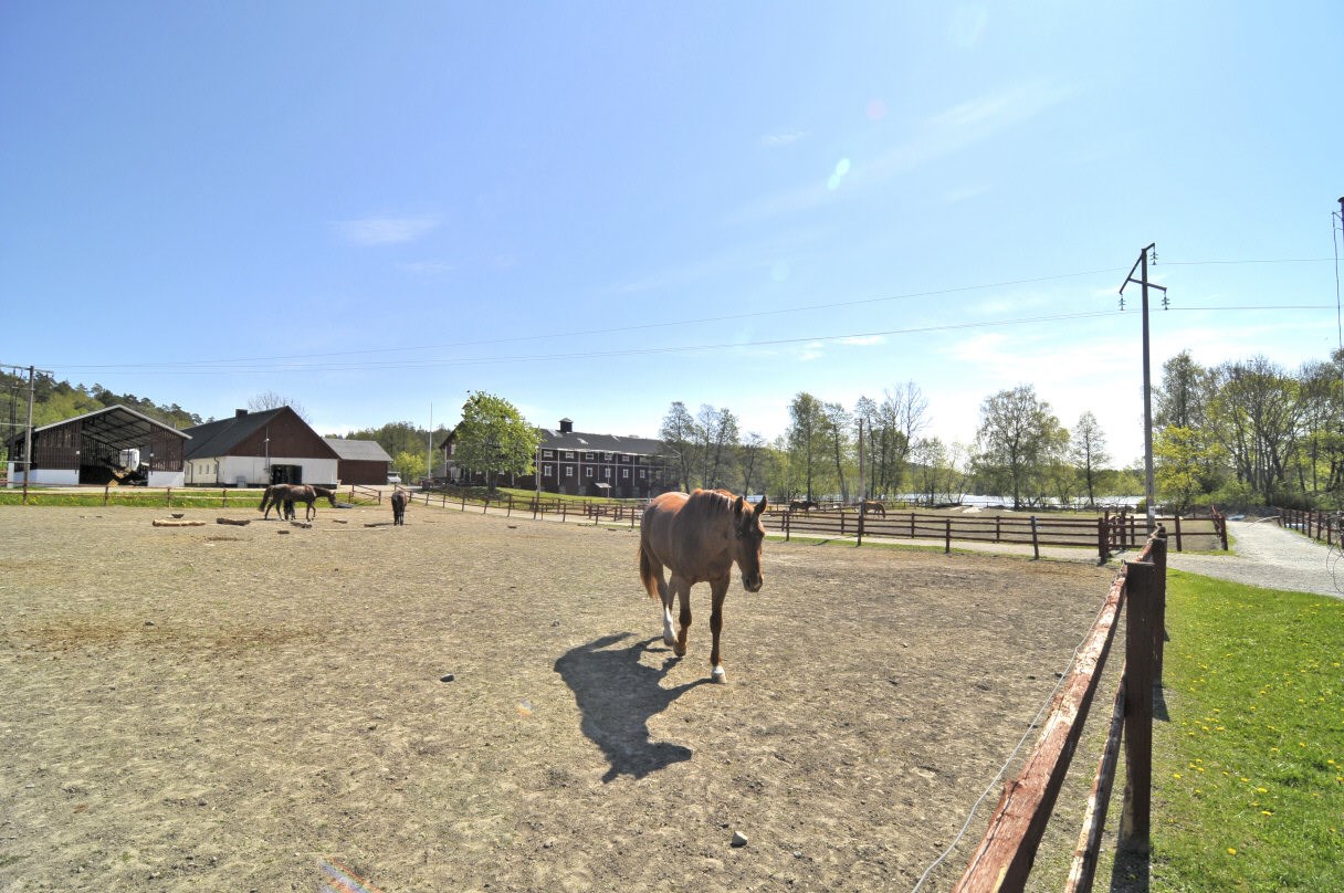 Sjöbrinken 23