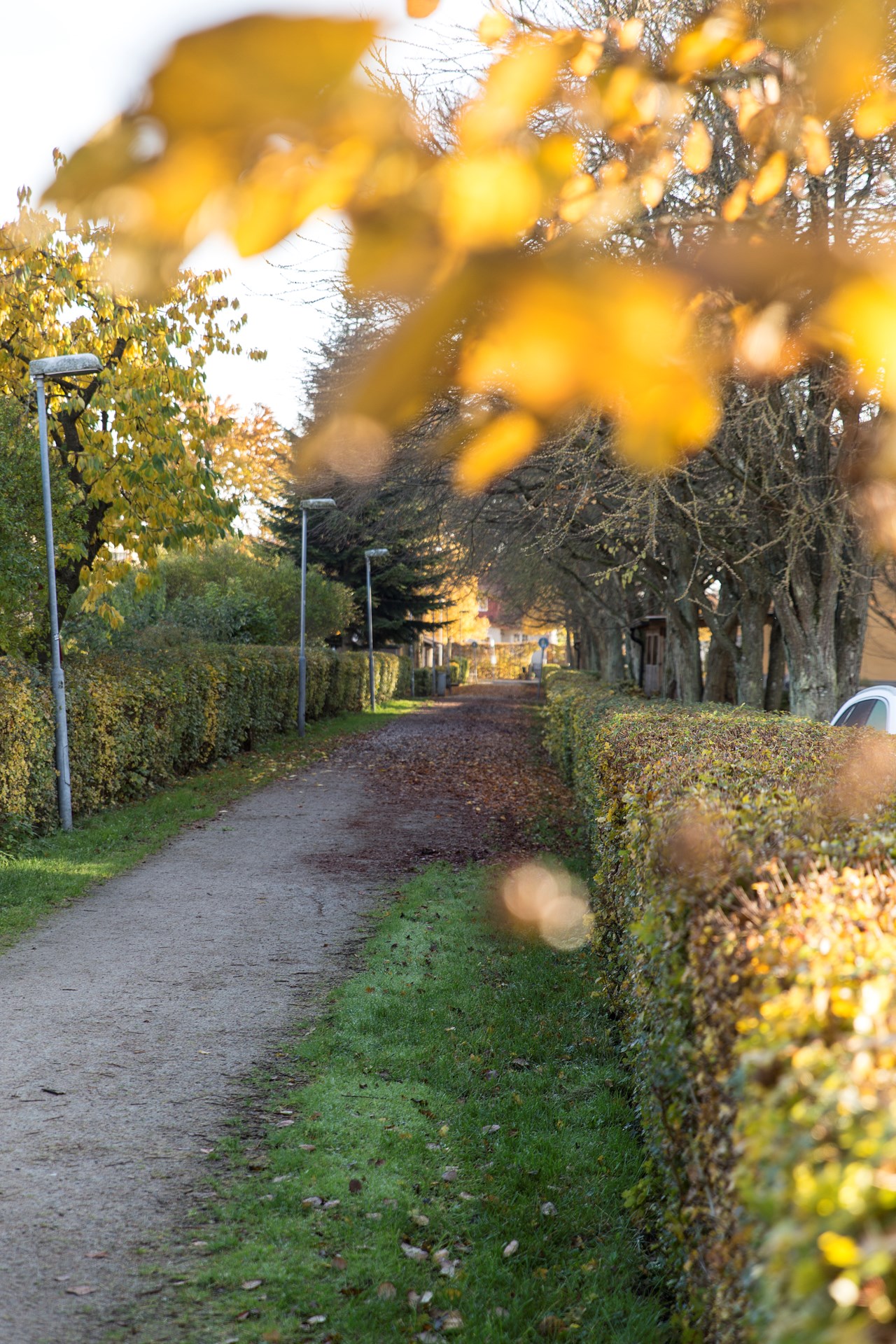 Floravägen 64
