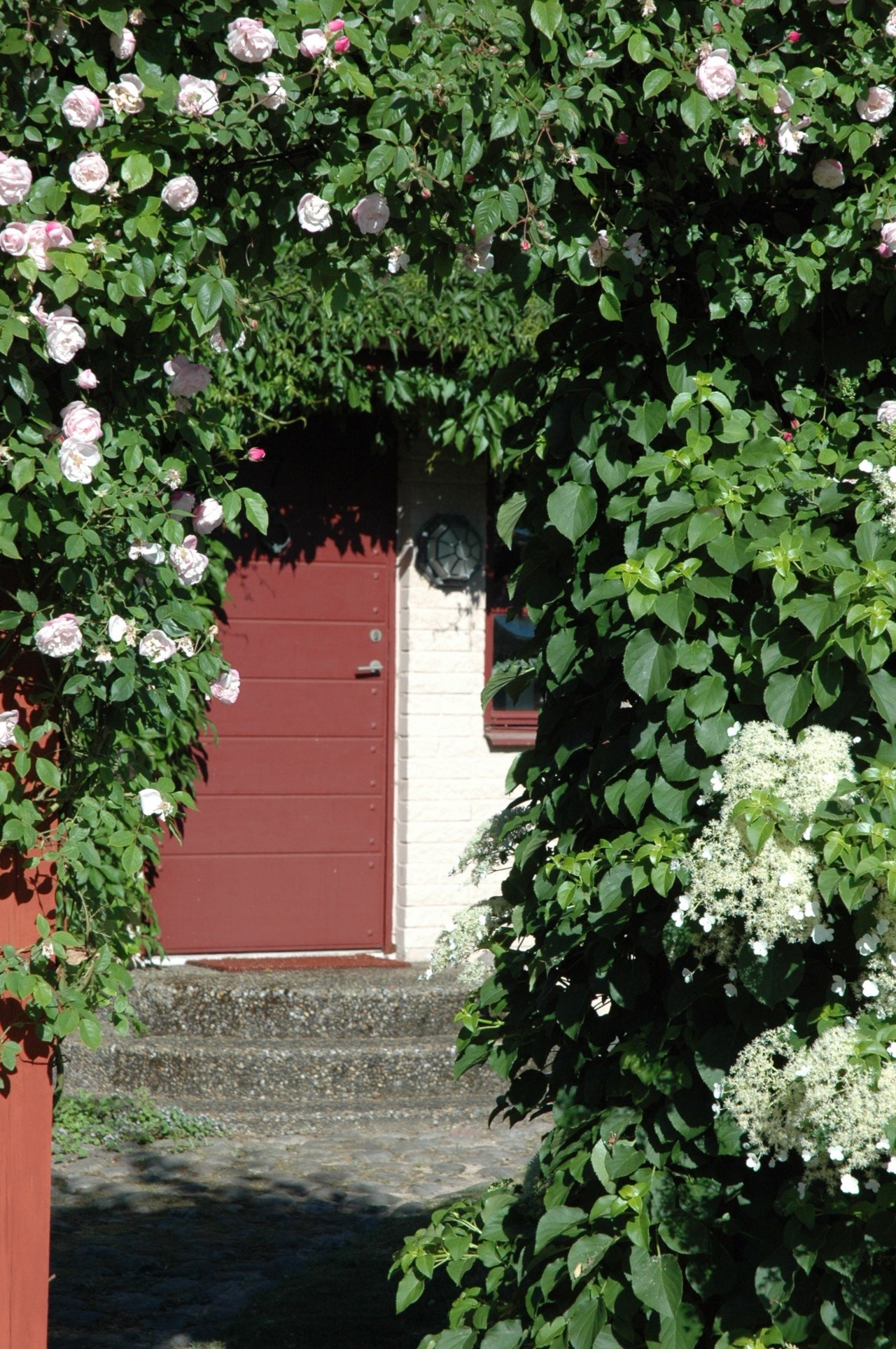 Trädgården i blom