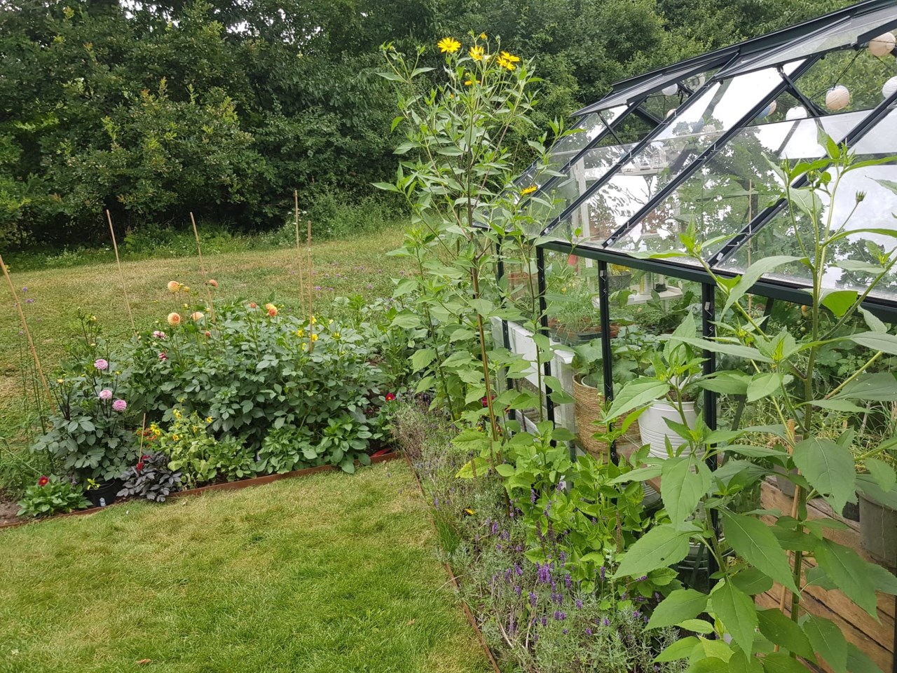 Lilla Björnens Gränd 8