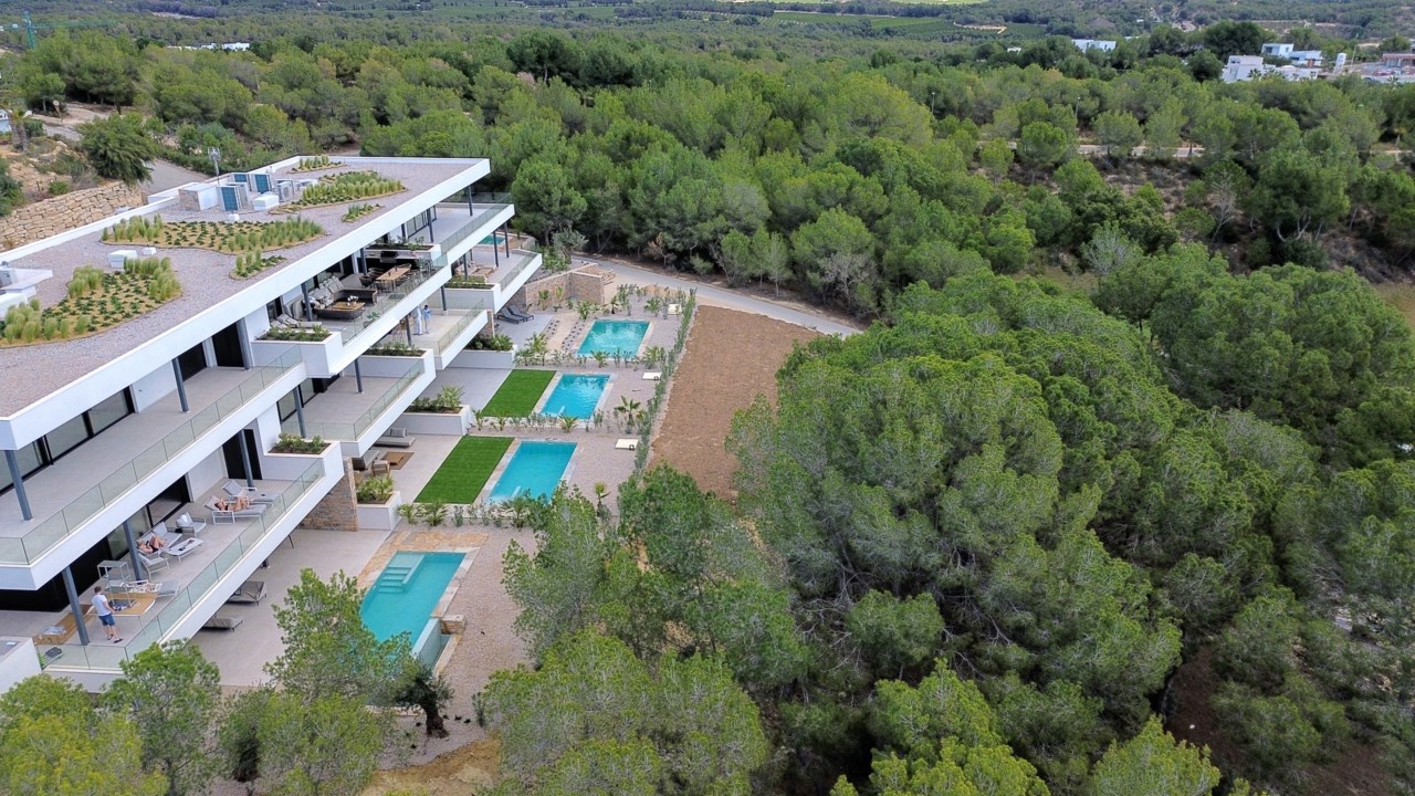 Limonero Las Colinas