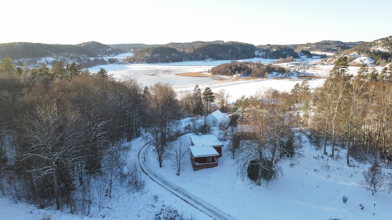 Svälte 141