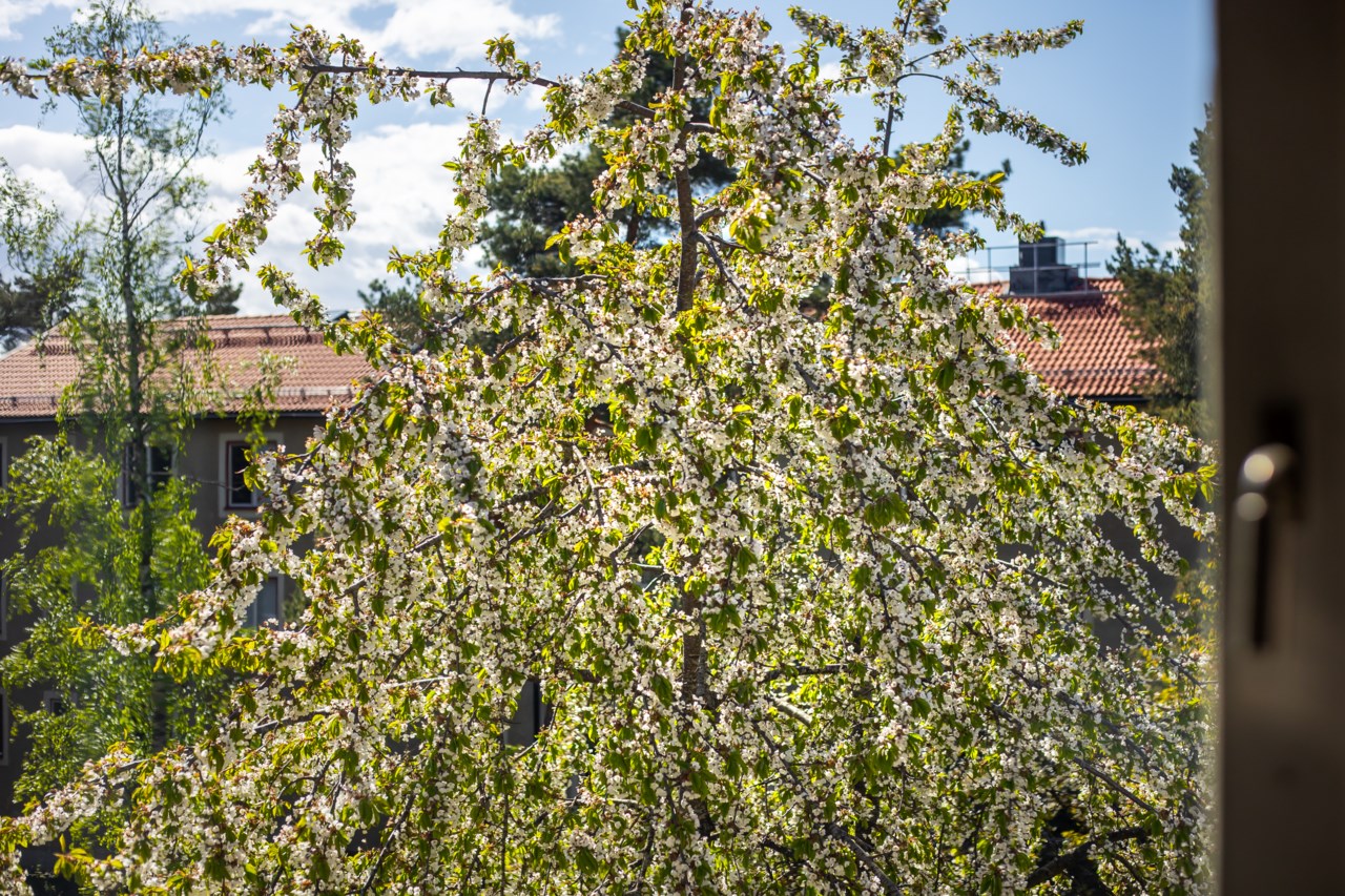 Lotterivägen 23, vån 3 av 3