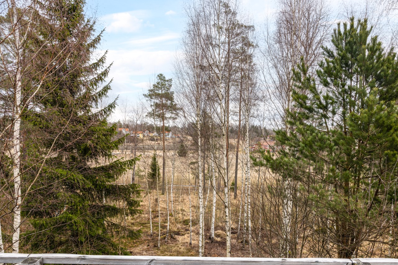 Koltrastvägen 14