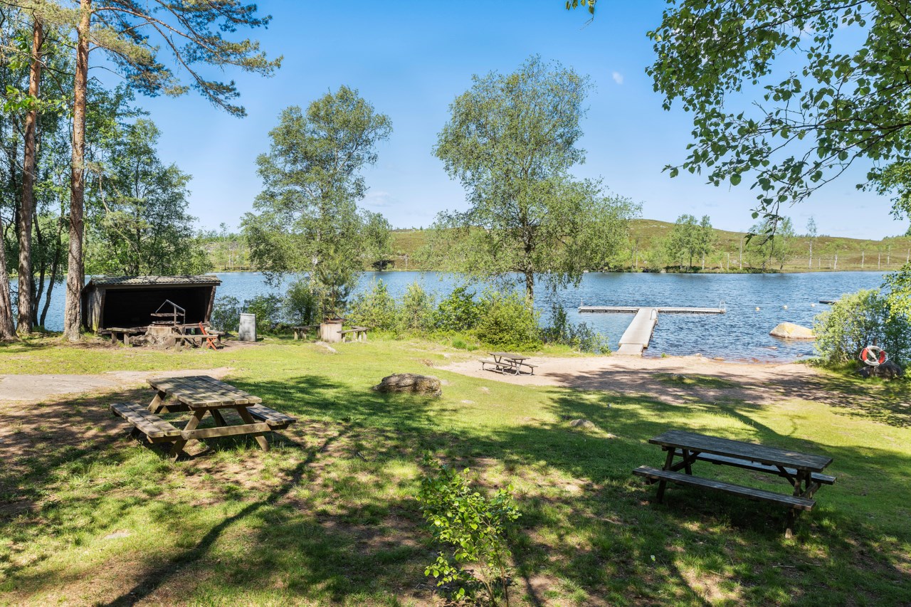 Mästocka 433