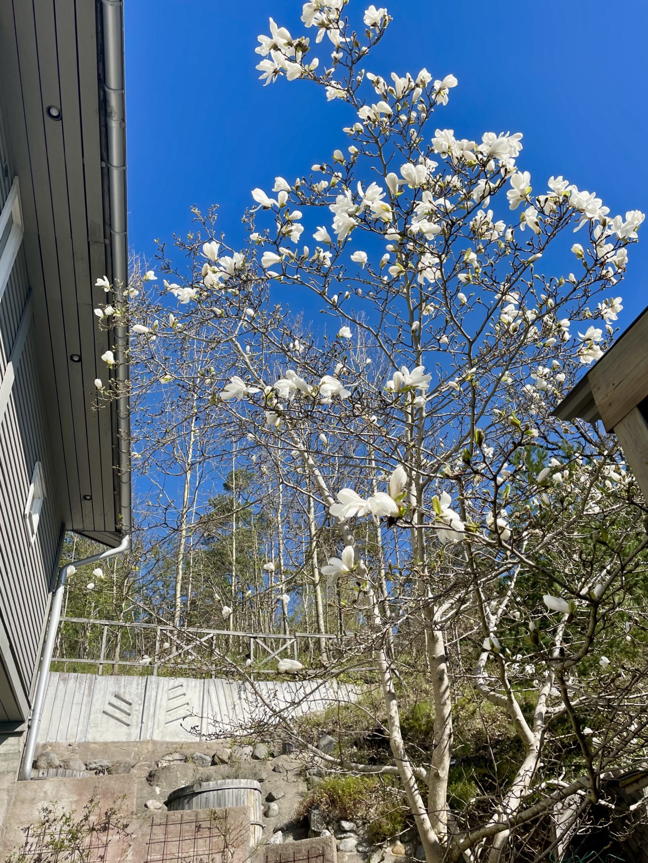 Bragevägen 13